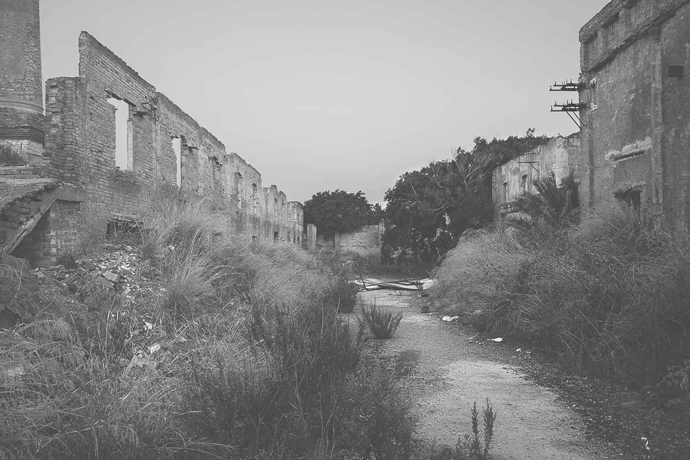 Fotografia addandono abbandonato factory Palermo Fabrica ma Abandonment Termini Imerese