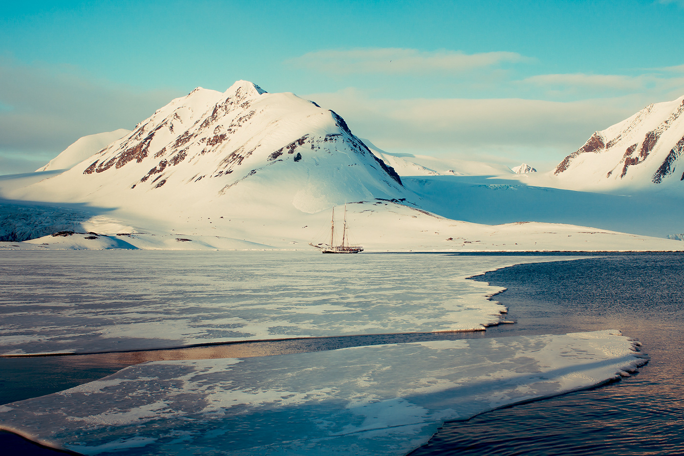 Arctic environment Island North Pole Polar Bear sea seal Svalbard Travel walrus