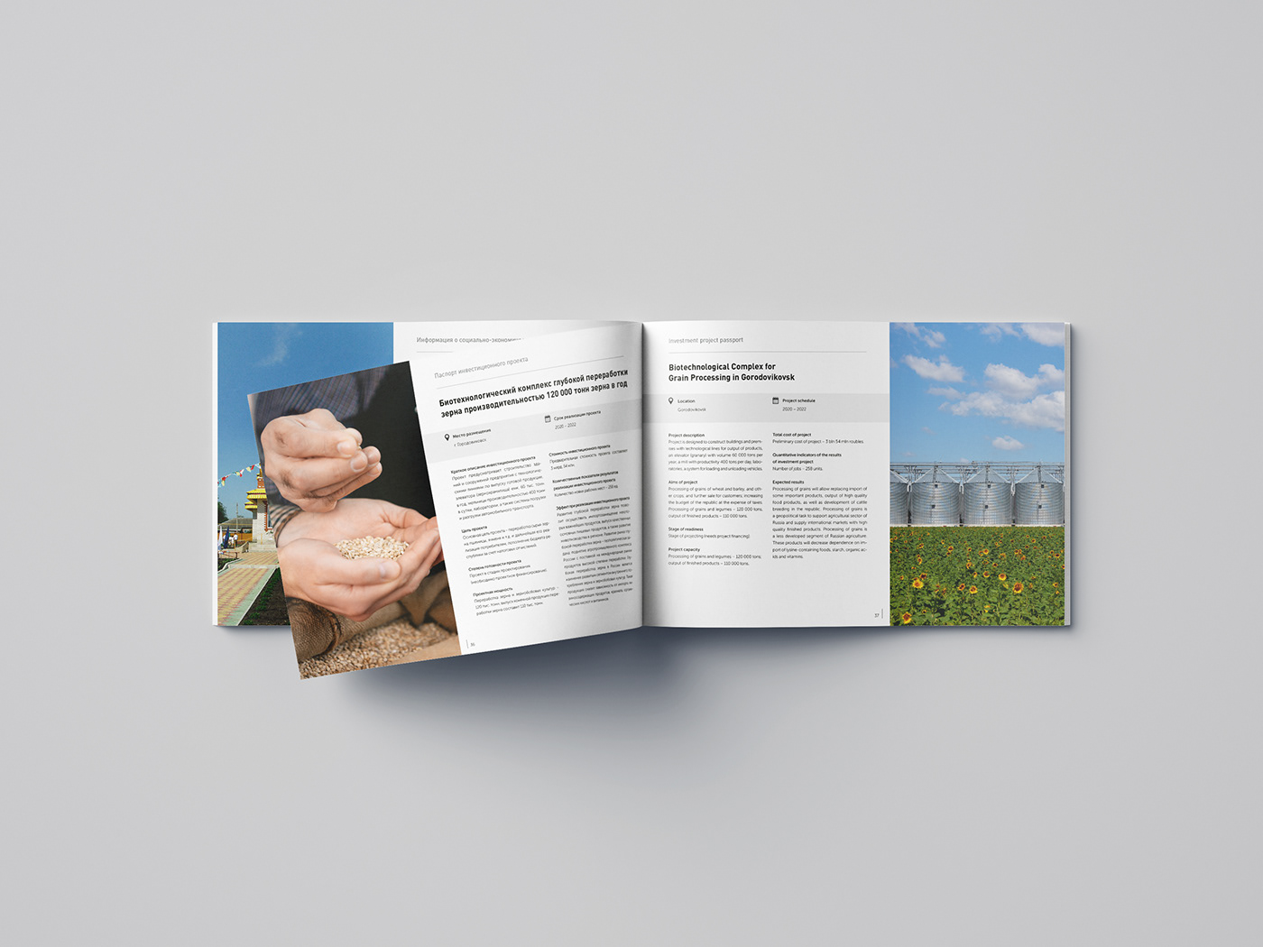brochure catalog Catalogue catalog design Catalogue design catalogo editorial magazine InDesign brochure design