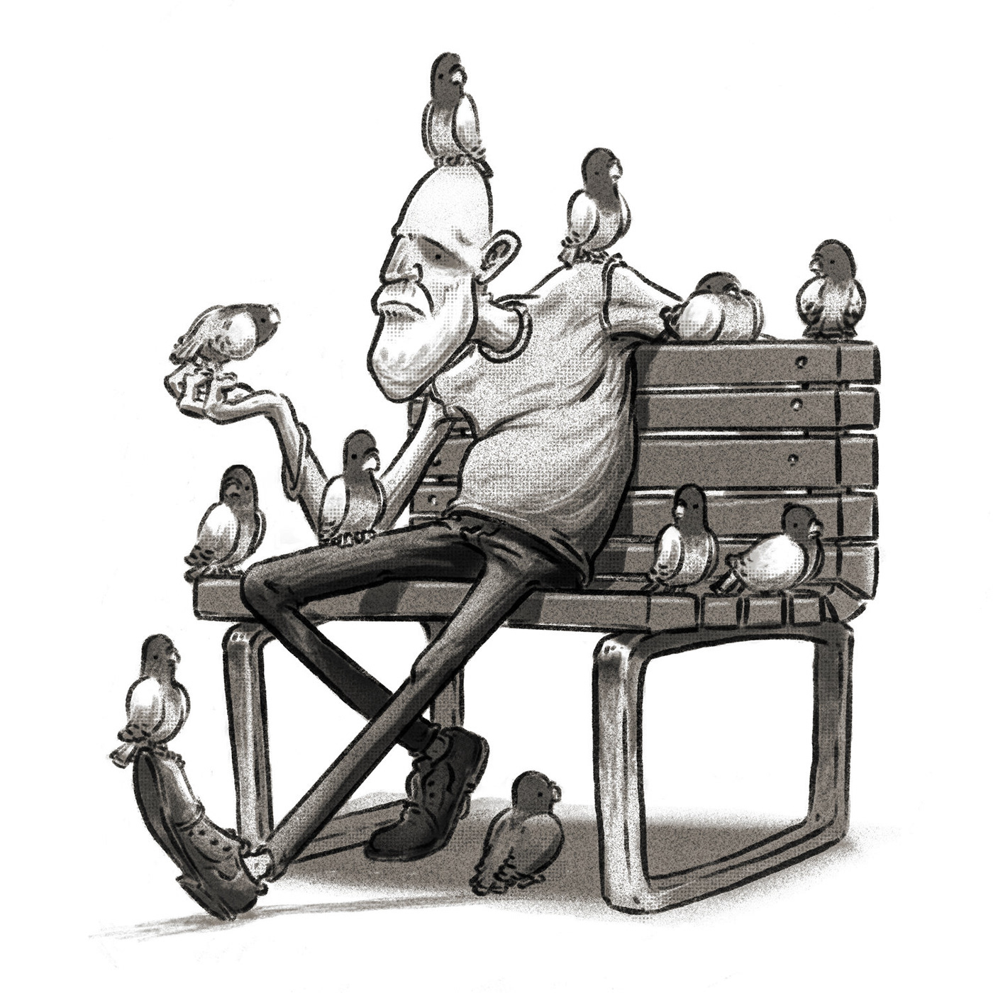 New York birds Character old man Central Park Brooklyn pigeons bench beard ILLUSTRATION 
