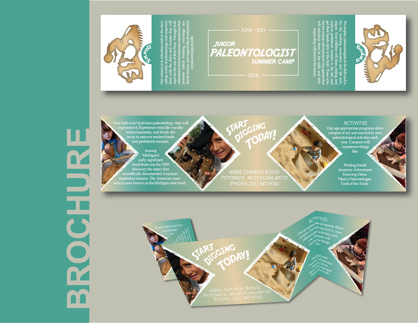 branding  design paleontology summer camp