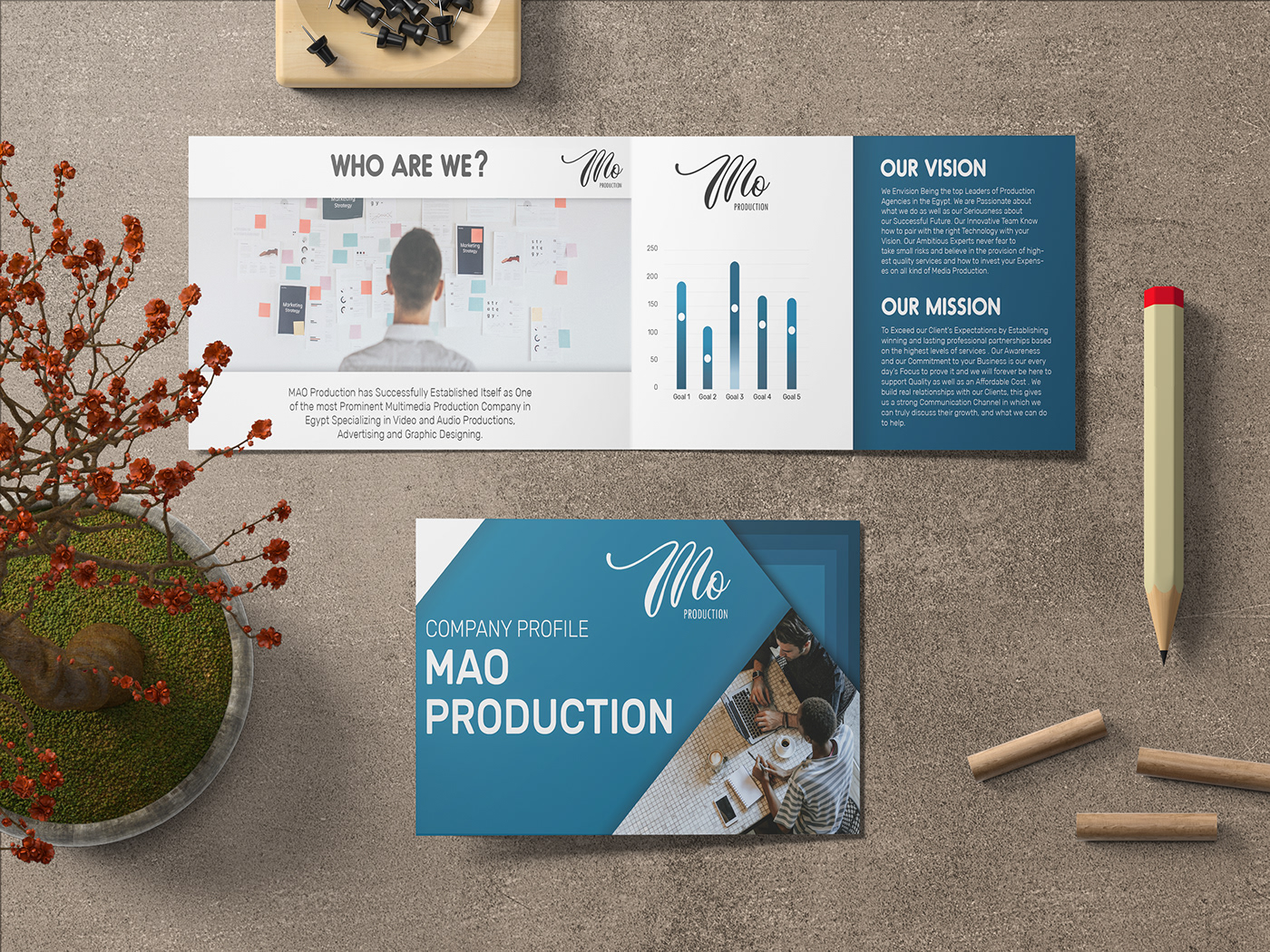 company profile magazine Layout brochure business brochure trifold design marketing   brand identity Advertising 