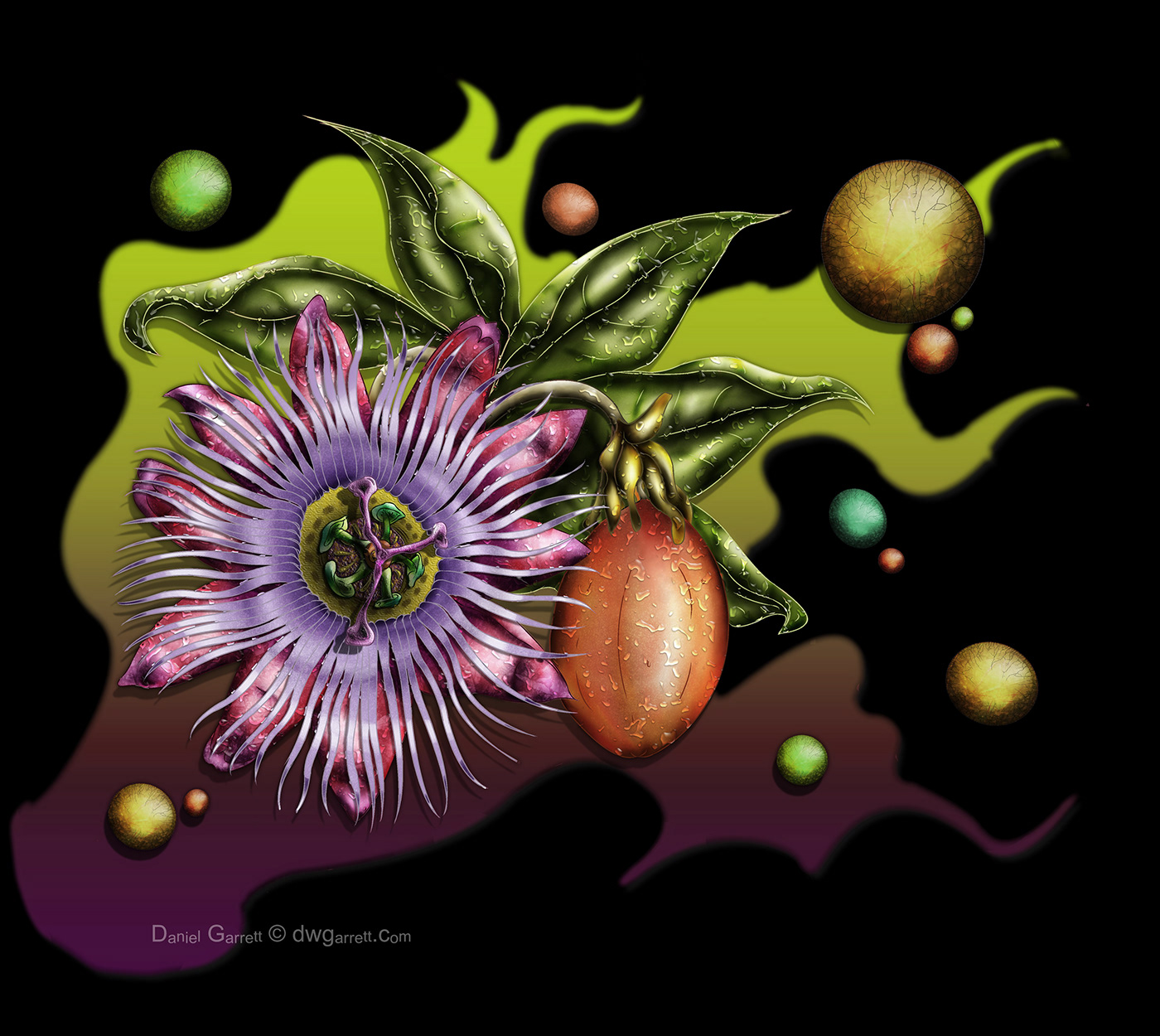 2dart digitalart flower Fruit passion passion fruit passionfruit