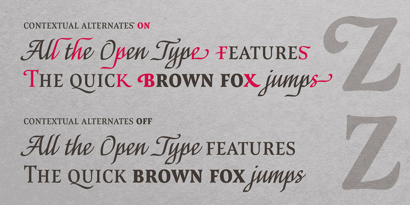 typedesign typefacedesign fonts type Typeface type family Capellina