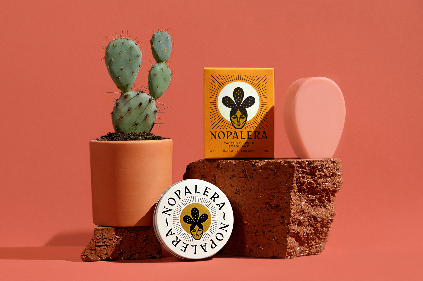 beauty brand branding  cactus identity latina mexico Packaging soap