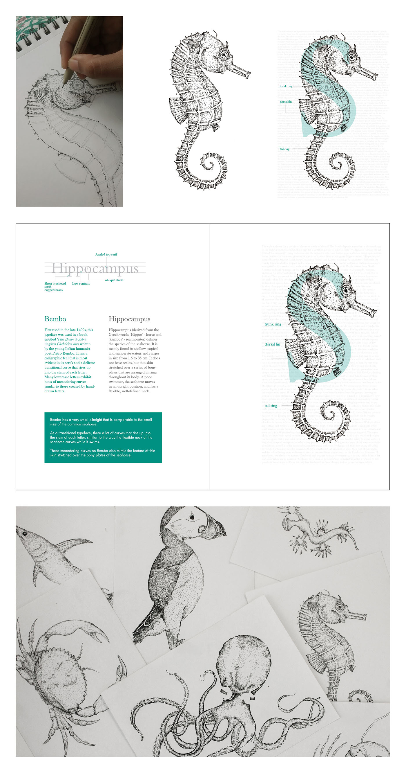 marine creatures stippling Typeface book