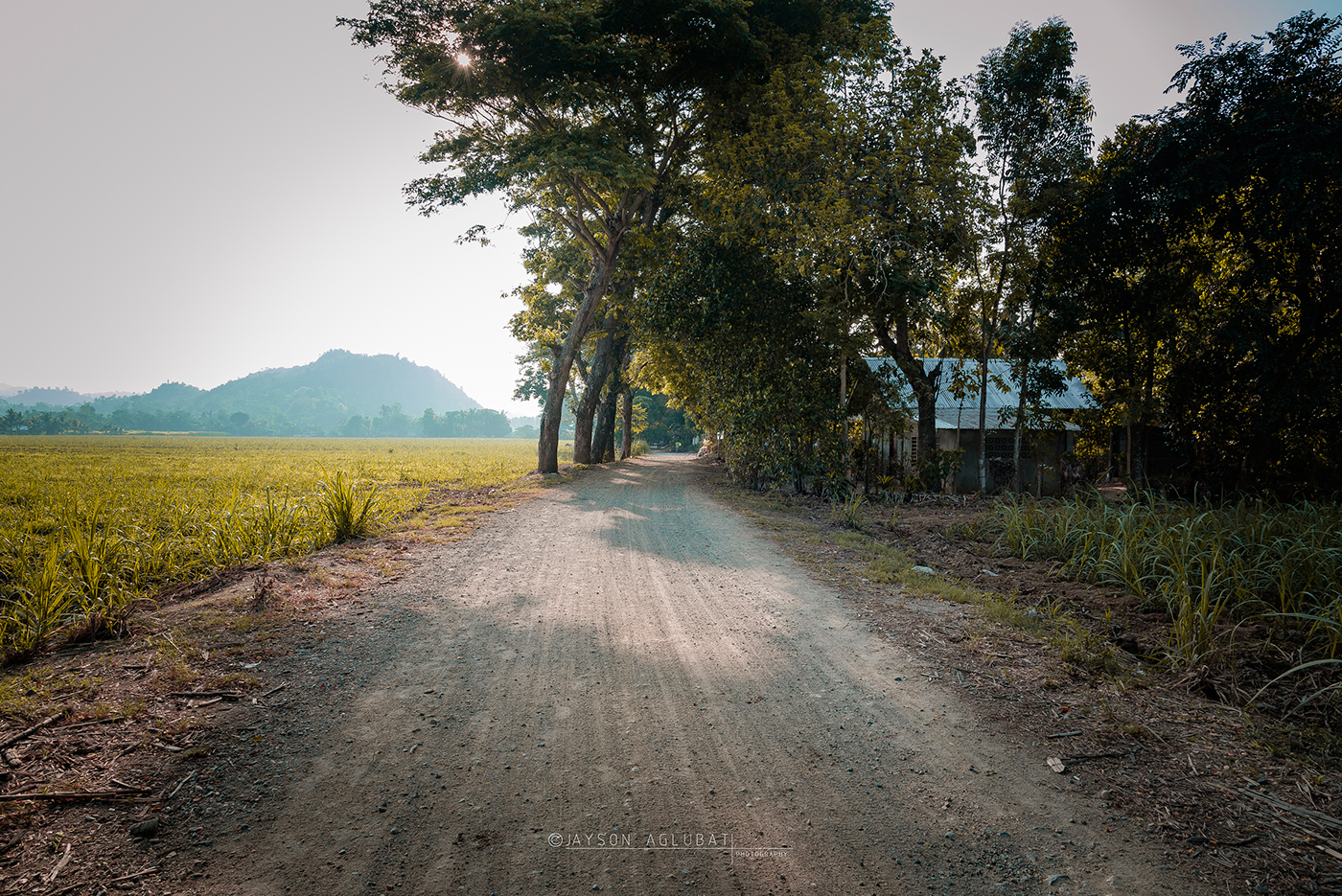 Photography  Landscape roughroad province sipalay city negros occidental Nature summer street photography