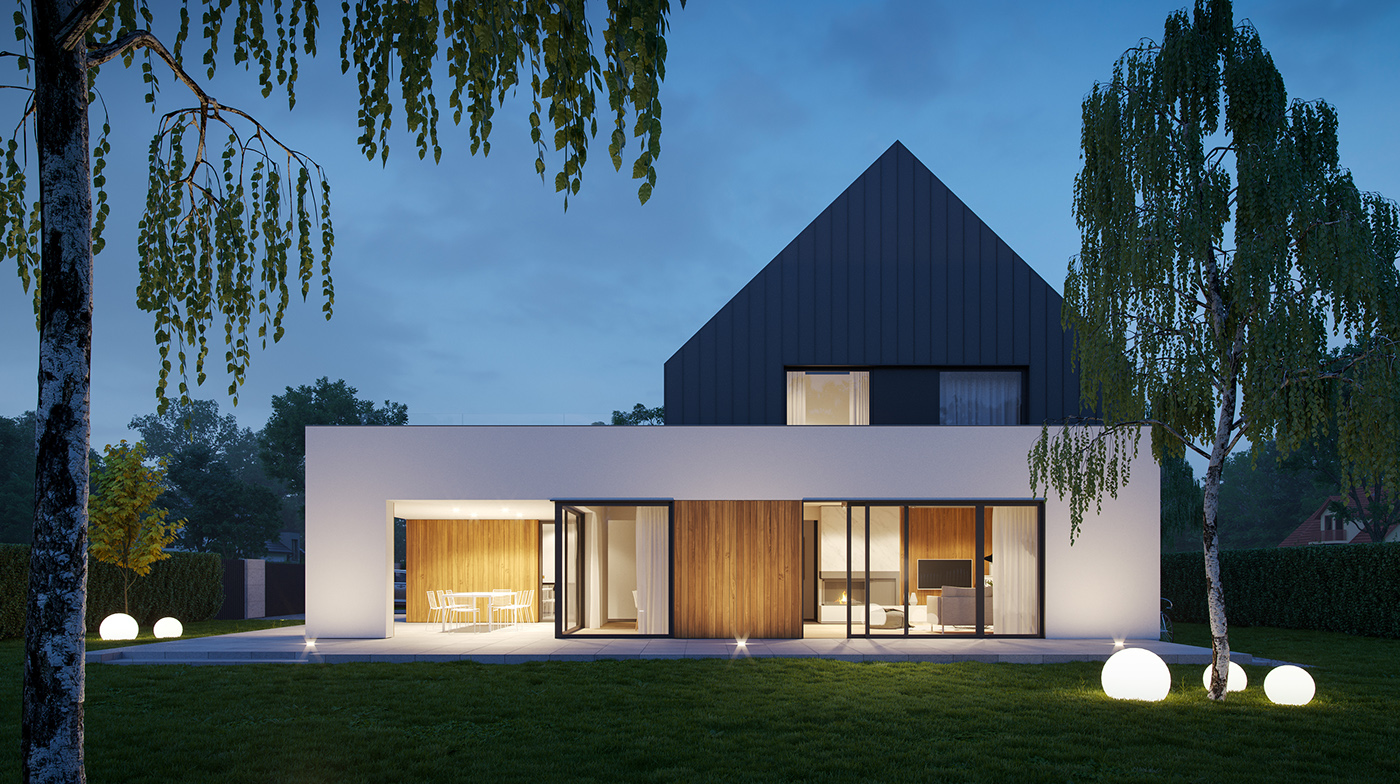modern house modern barn single family house Wood façade Minimalism individual project Smart House meeko