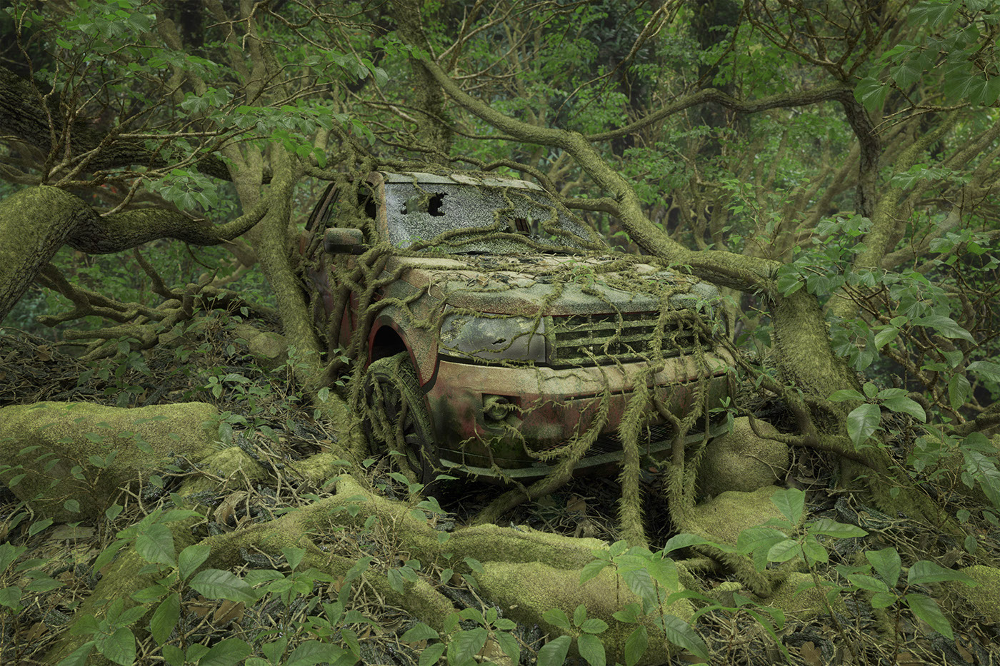 abandoned Cars forest jungle leaves old plants roots trees 3D modo PS branches gelmi