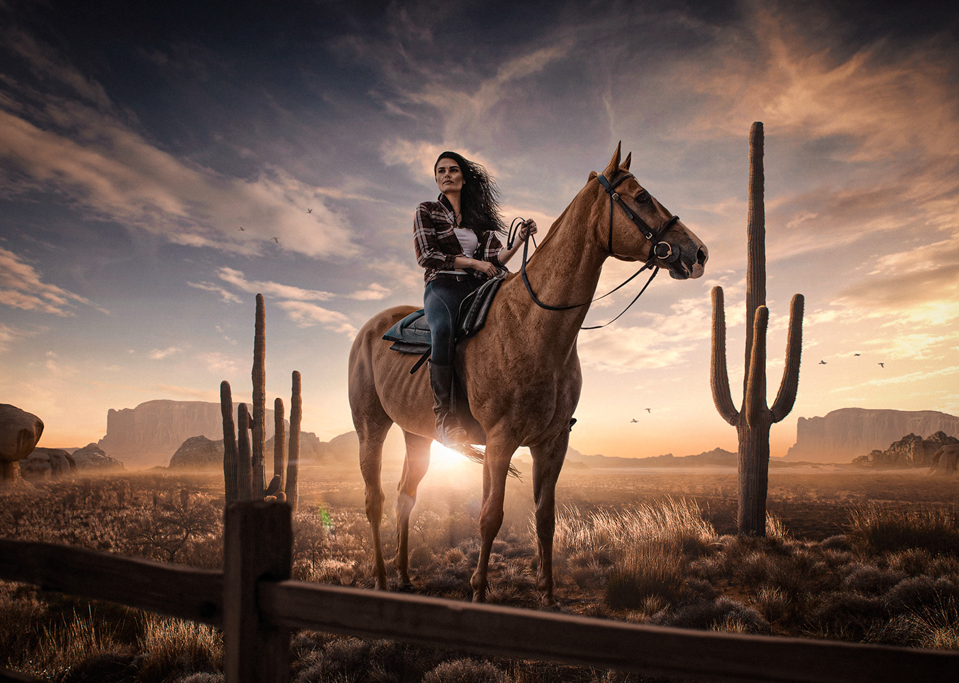 cowboy desert Matte Painting western Creative Retouching