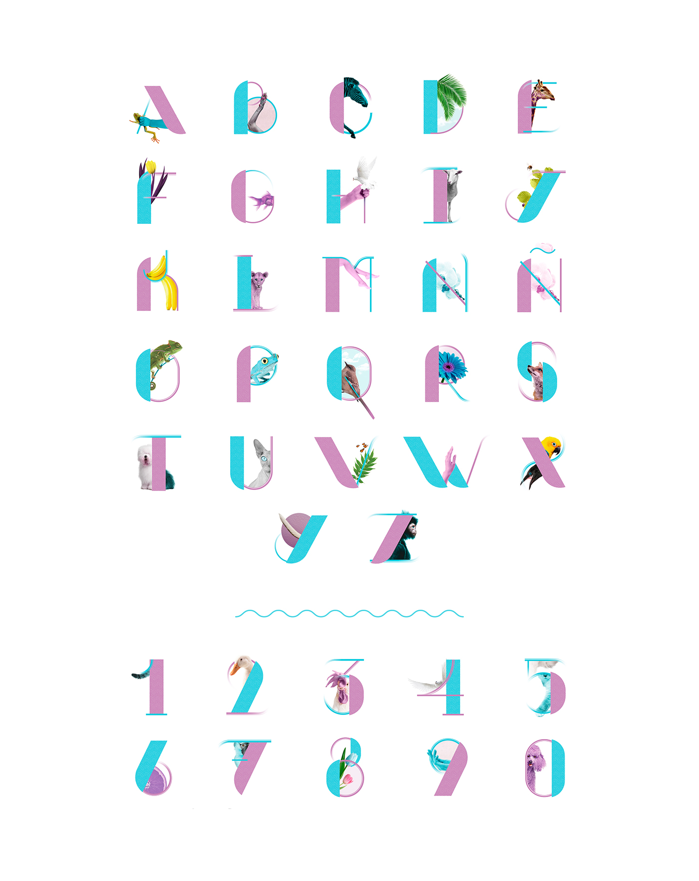 typography   alphabet lettering vivas graphic design  ILLUSTRATION  Illustrator typo tipografia creative
