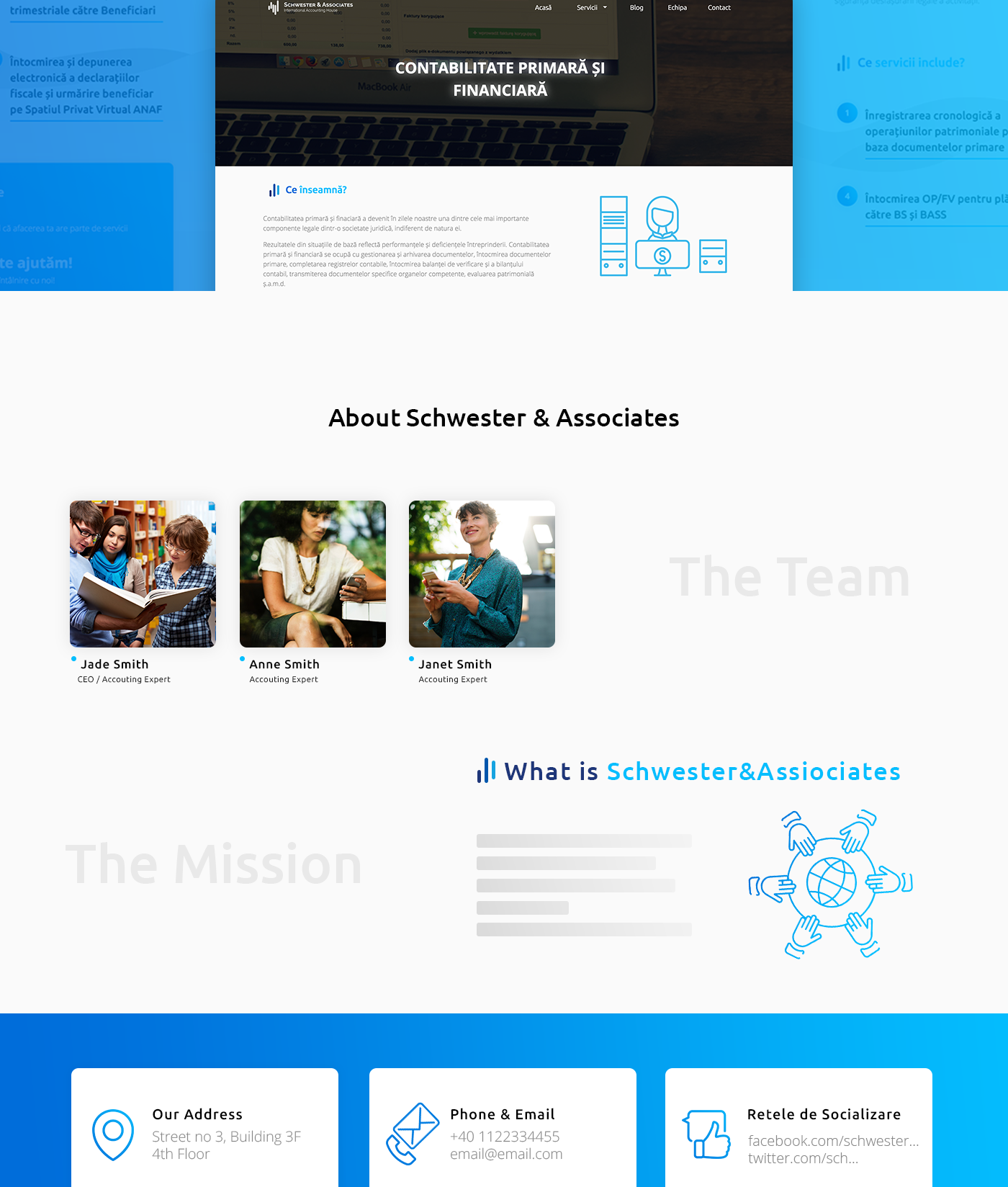 accounting design romania company money Web Web Design  online illustrations blue