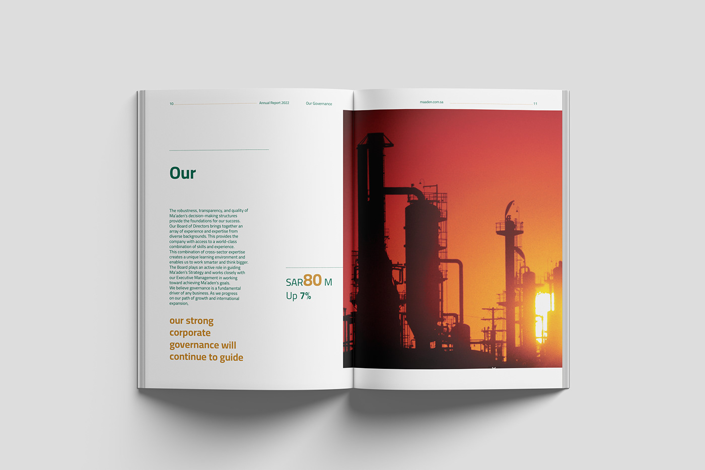annual report Annual Report Design print editorial Layout editorial design  InDesign publication design cover page design