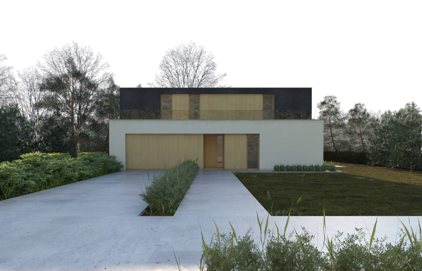 3D visualization house exterior