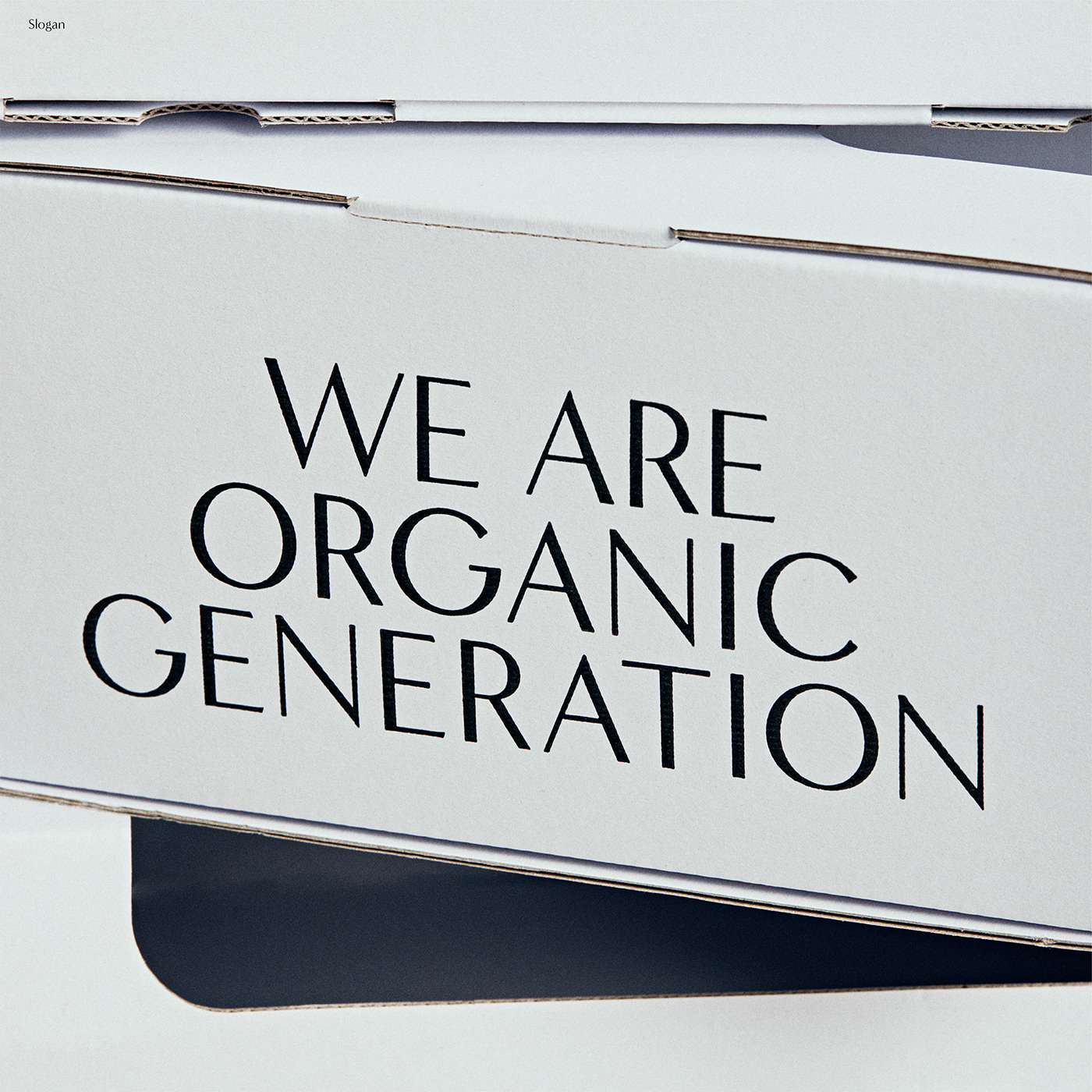 branding  design Fashion  lifestyle logo organic package Sustainable Packaging brand identity