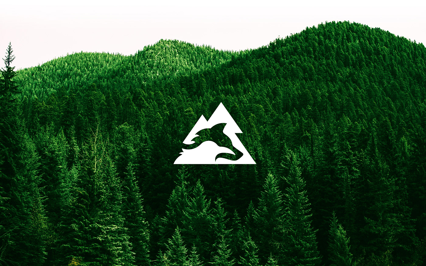 Canada crow forest forestry green logo mountains negative space wolf