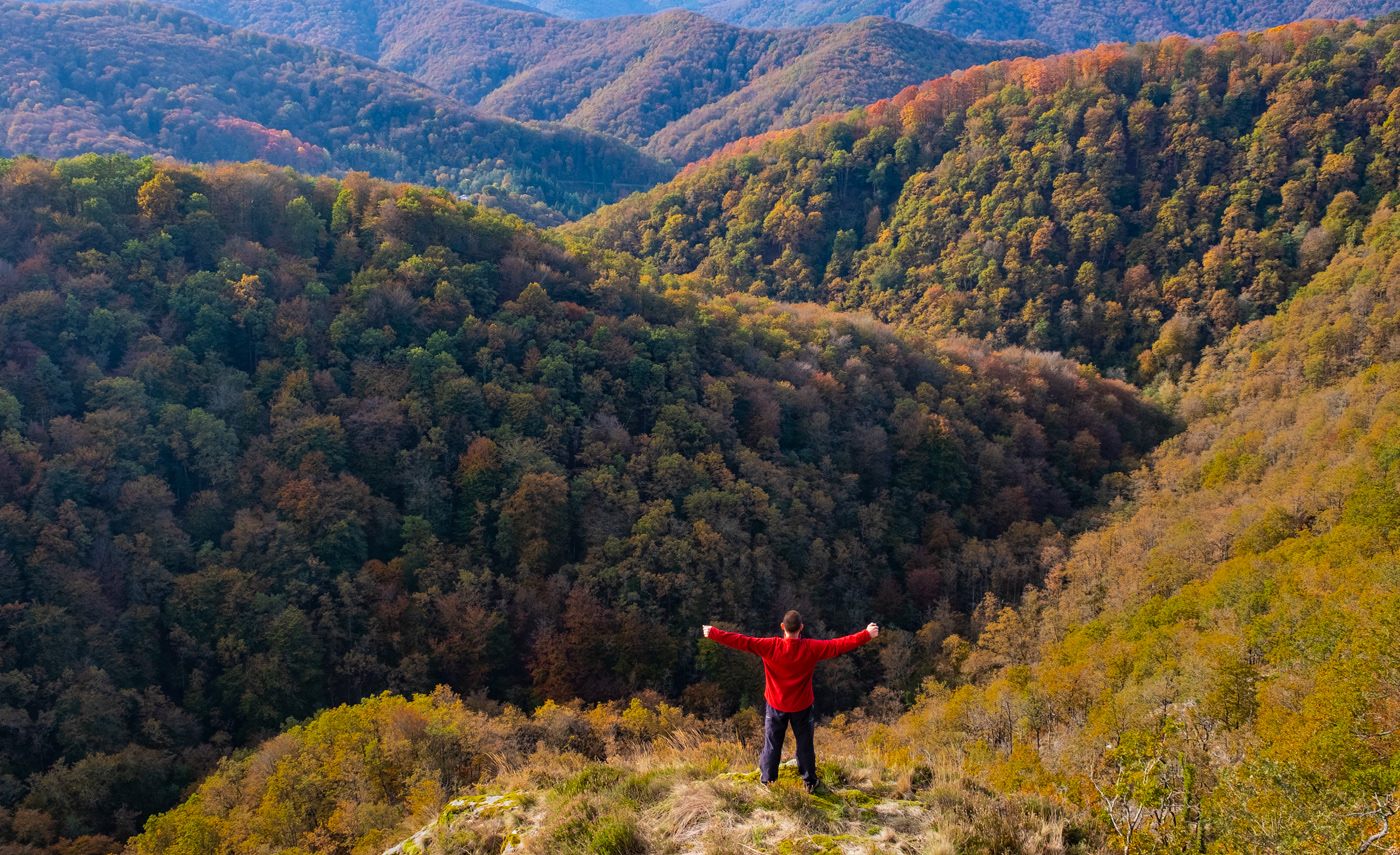 Mountaineer in the Artikutza forests in autumn, Euskadi