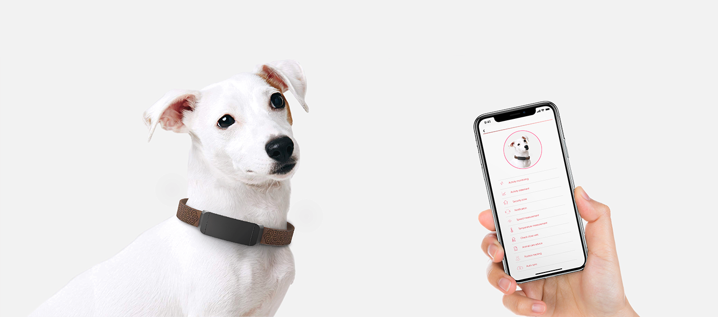 product design  industrial design  branding  logo pattern dog Pet tracker thesis smart device