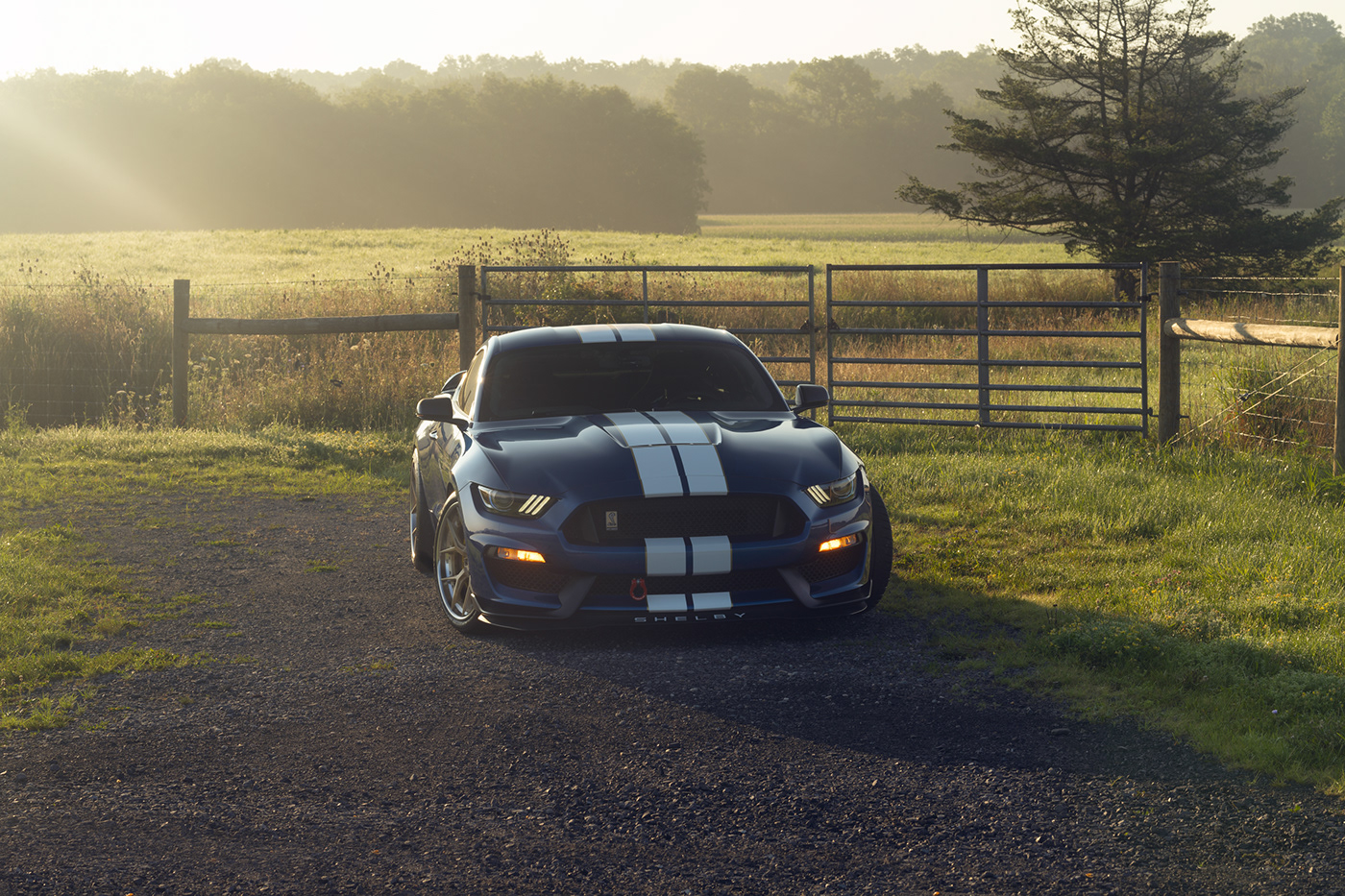 photoshop Social media post marketing   Mustang Photography  Nature photoshoot Shelby American