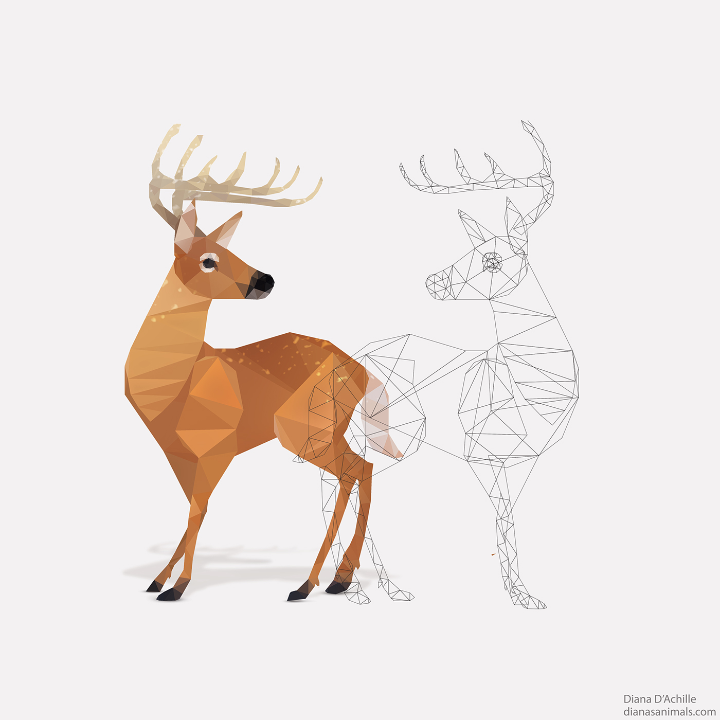 adobeawards adobe deer Low Poly animals adobecreativecloud inspire Adobe Awards Digital Art  low polygon