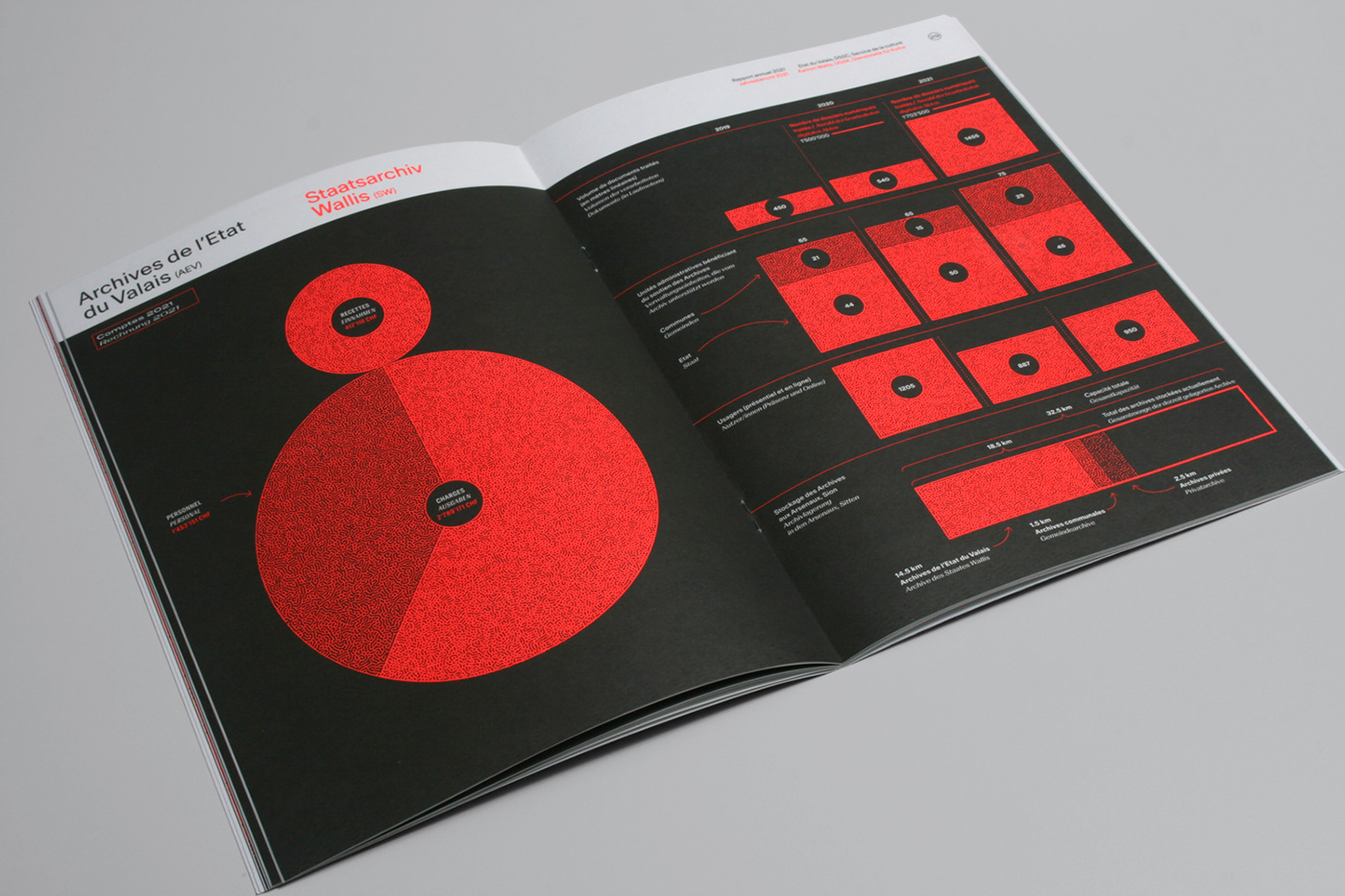 annual report fluo infographic pantone pattern swiss design