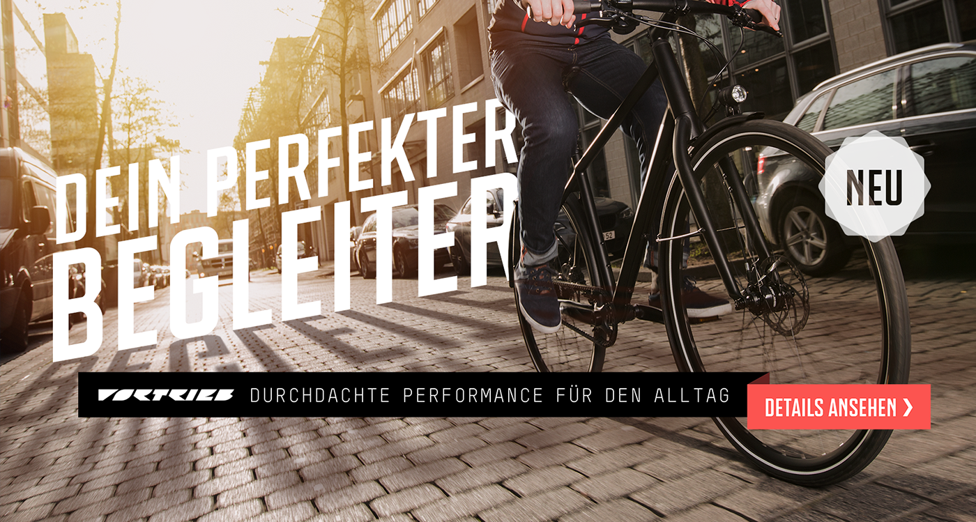 branding  marketing   campaigning campaign Bike Online shop MTB graphic design 