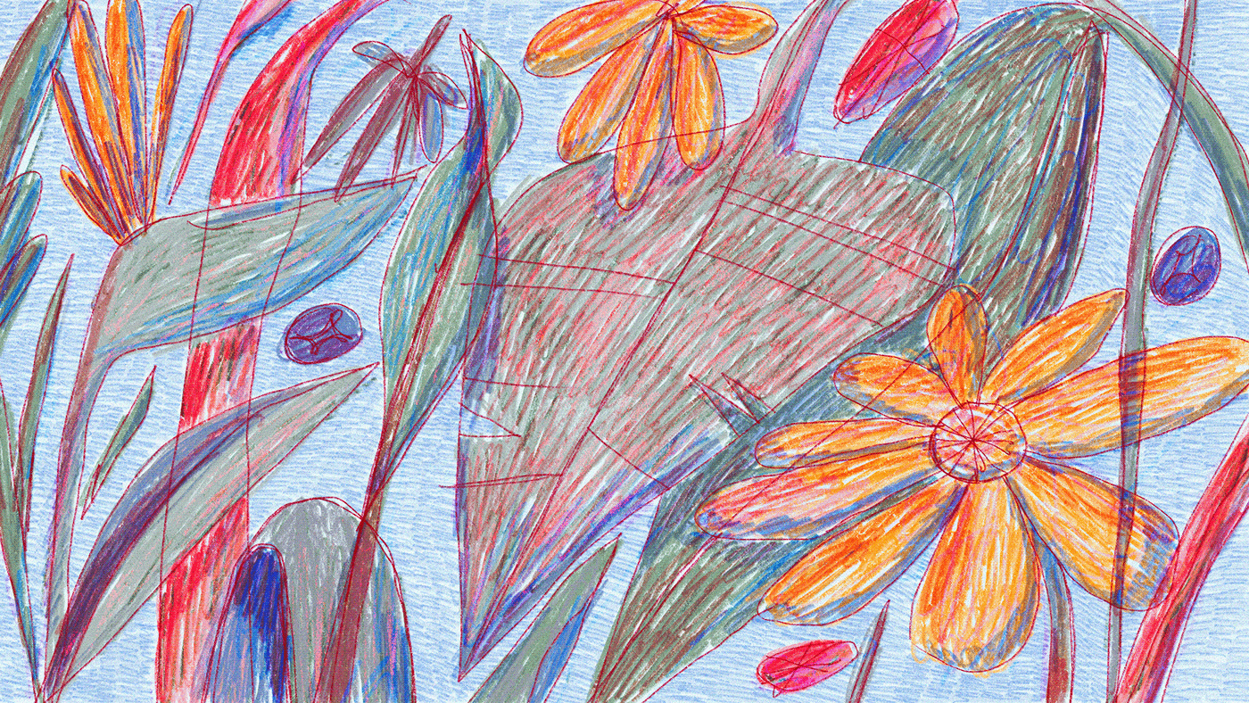 Drawing  Flowers garden handmade ILLUSTRATION  outdoors pencil plants