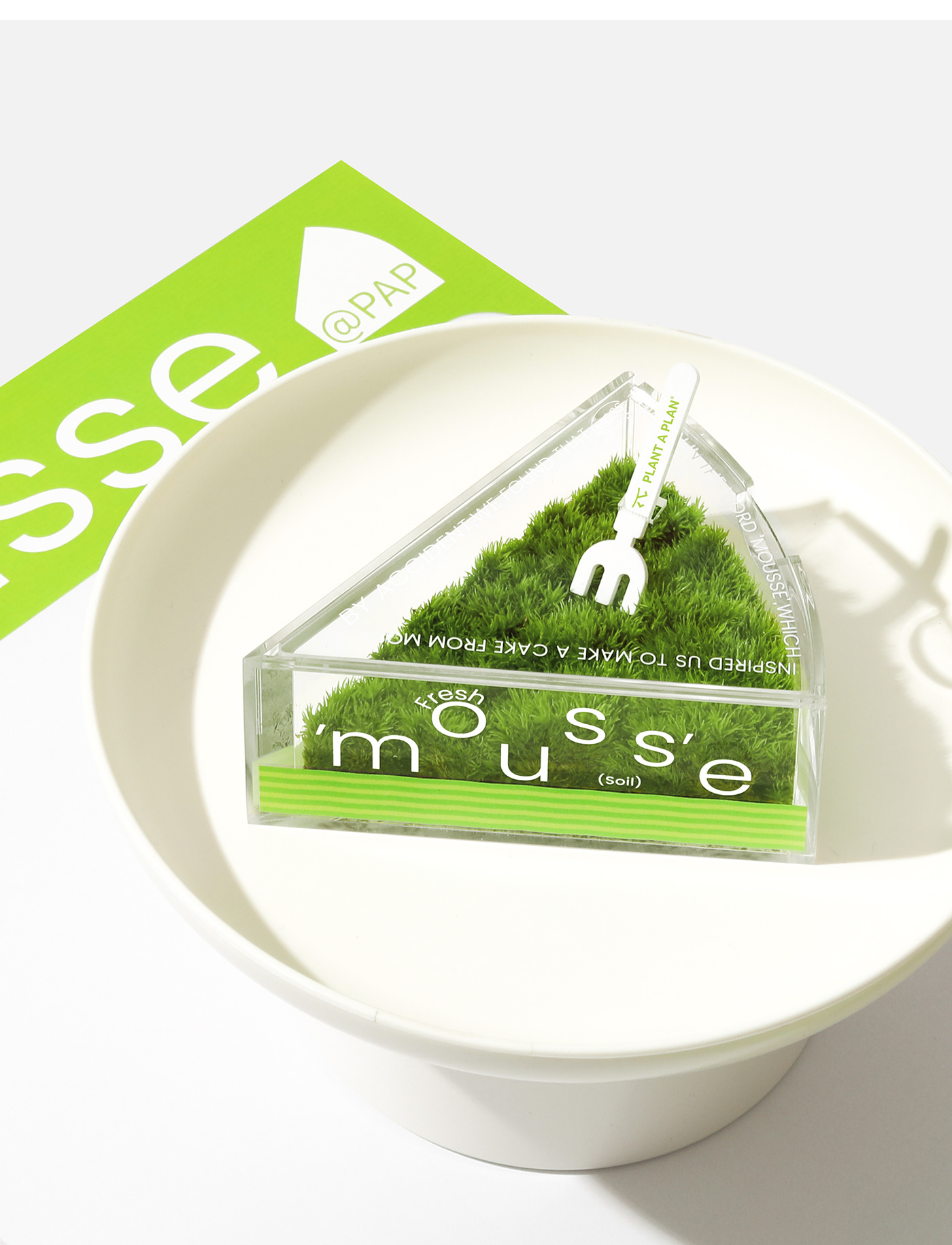 design Packaging plants green cake