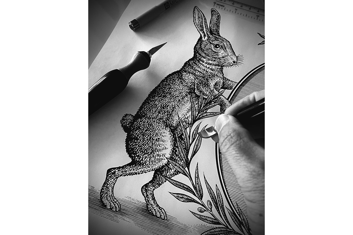 Steven Noble woodcut engraving linocut animals etching line art