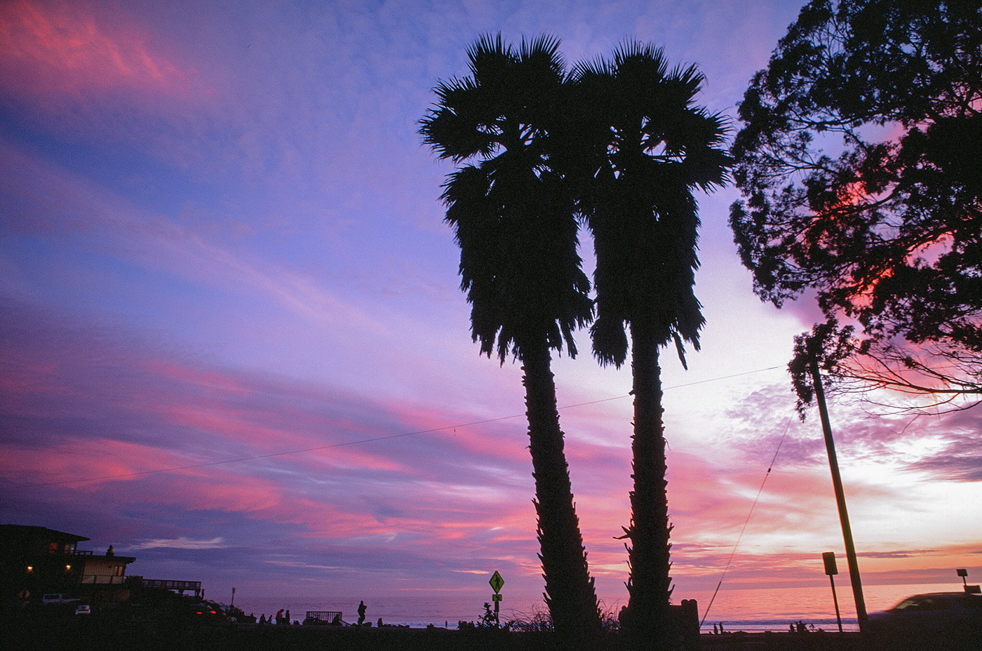 a colorful sunset and two palm trees

