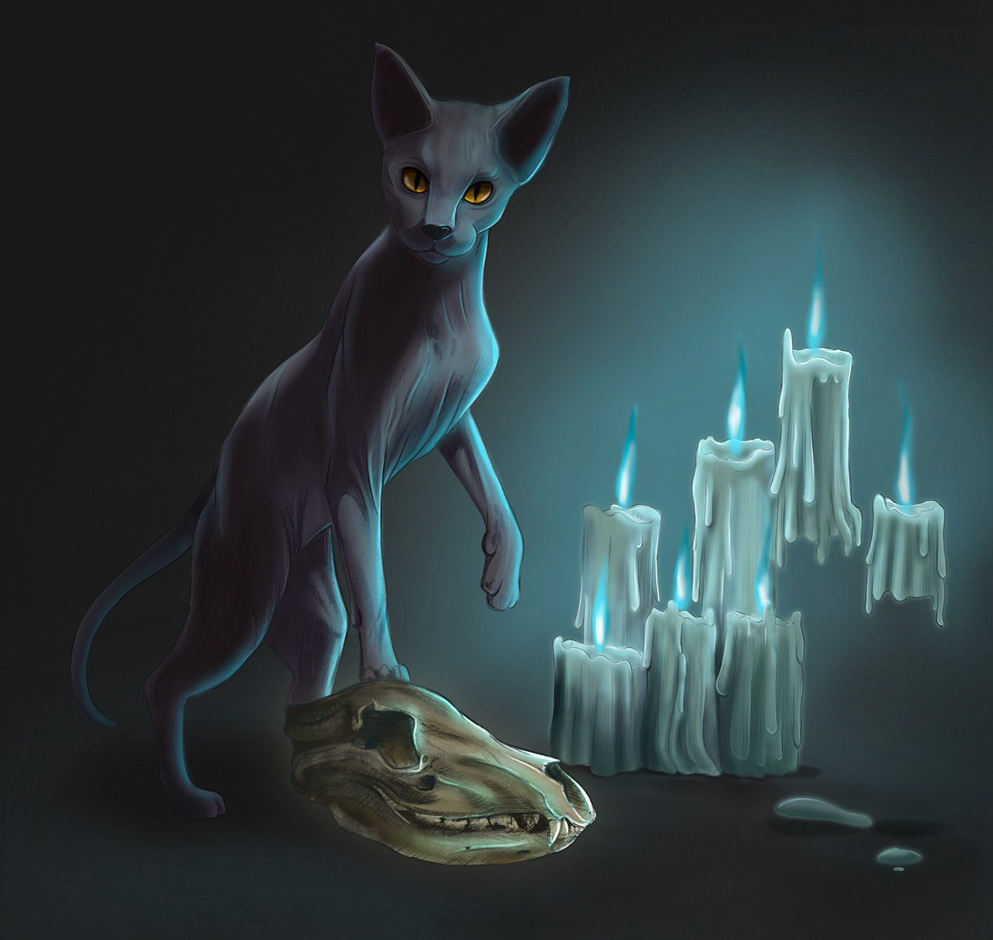art ilustracion ilustracja ilustration kot książki Magic   nastrój Procreate rasowy sfinx świece Wiedźma zwierzę