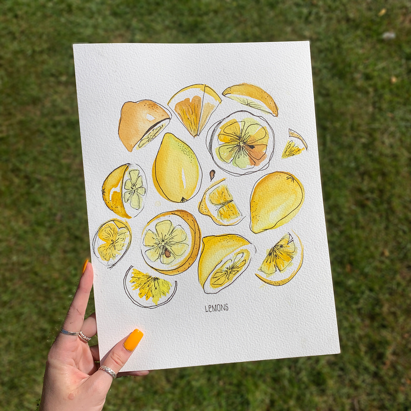 lemon painting   watercolour