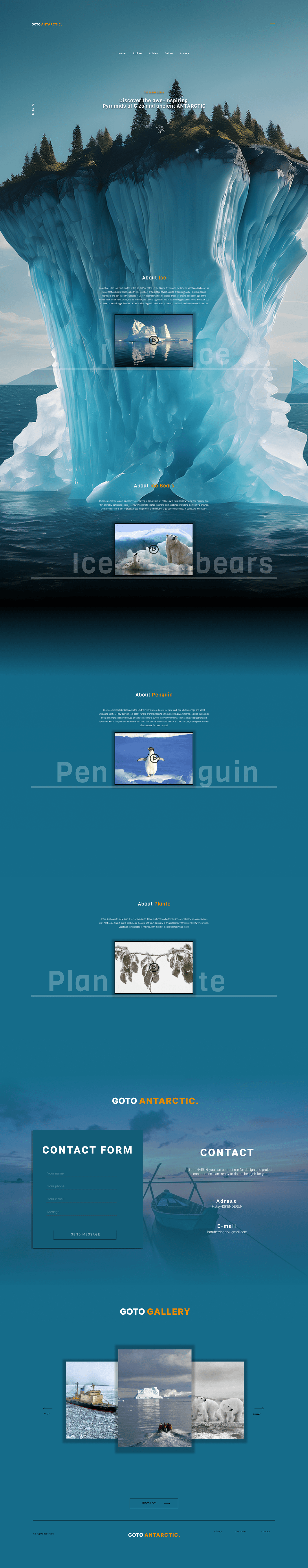 Illustrator graphic design  Figma UI/UX