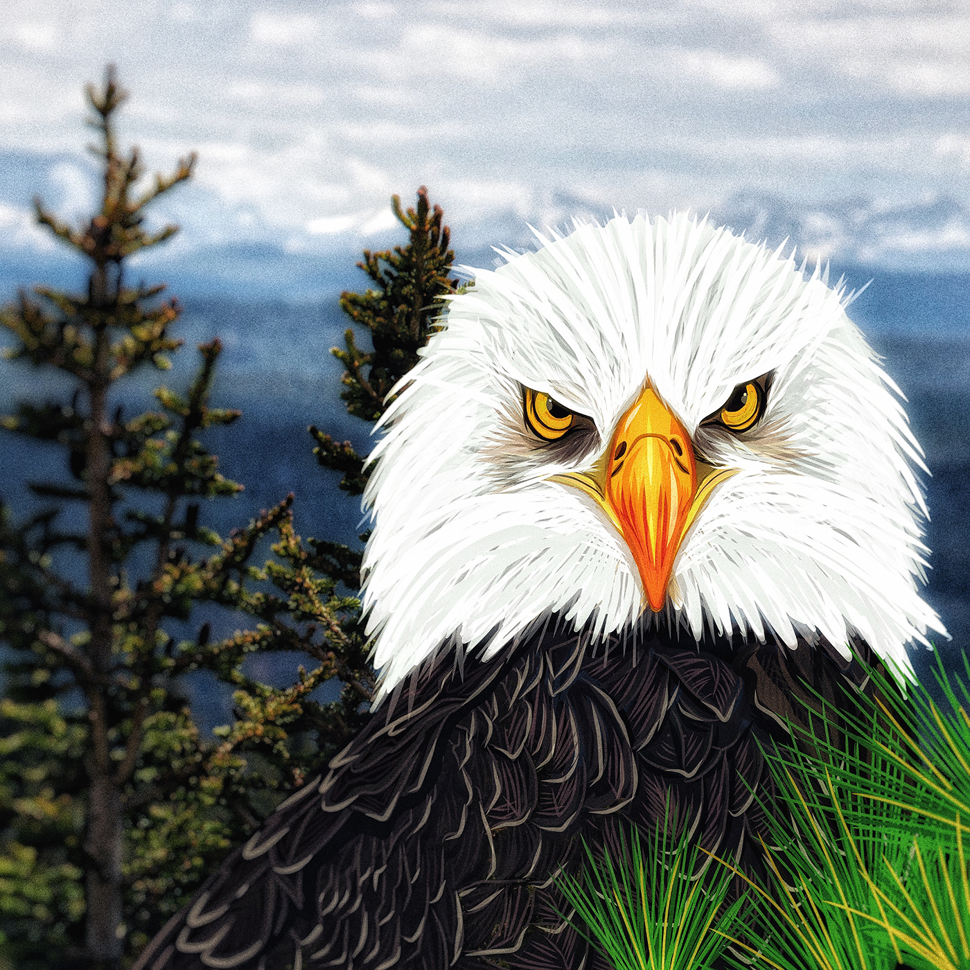 olbap olbapdesign ILLUSTRATION  eagle bald eagle vector adobe draw digital paint
