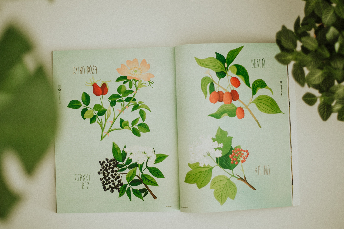 kukbuk press magazine Magazine Illustrations collage collage illustrations Flowers flower power couple dinner