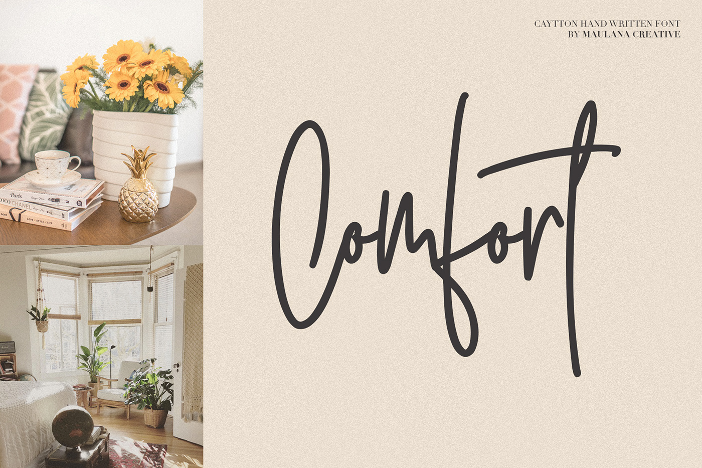 Free font free typeface free signature FREE FAMILY Free calligraphy free Free script free handwriting