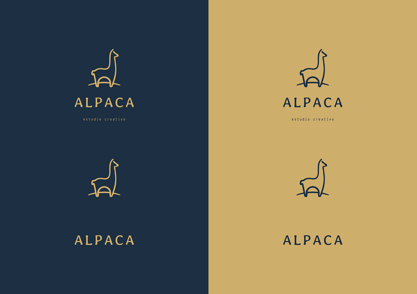 agency alpaca brand content media paraguay social