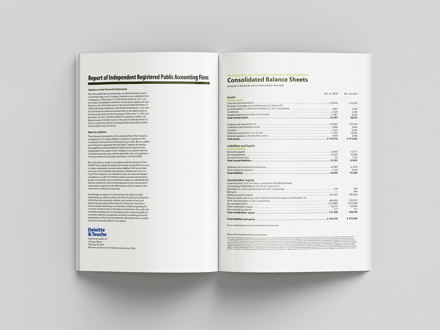 ANNUAL book business report typography  