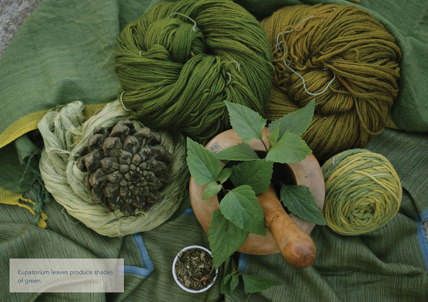 dyeing eco friendly design fabric indigo dye naturaldye Photography  Sustainability textile textile design 