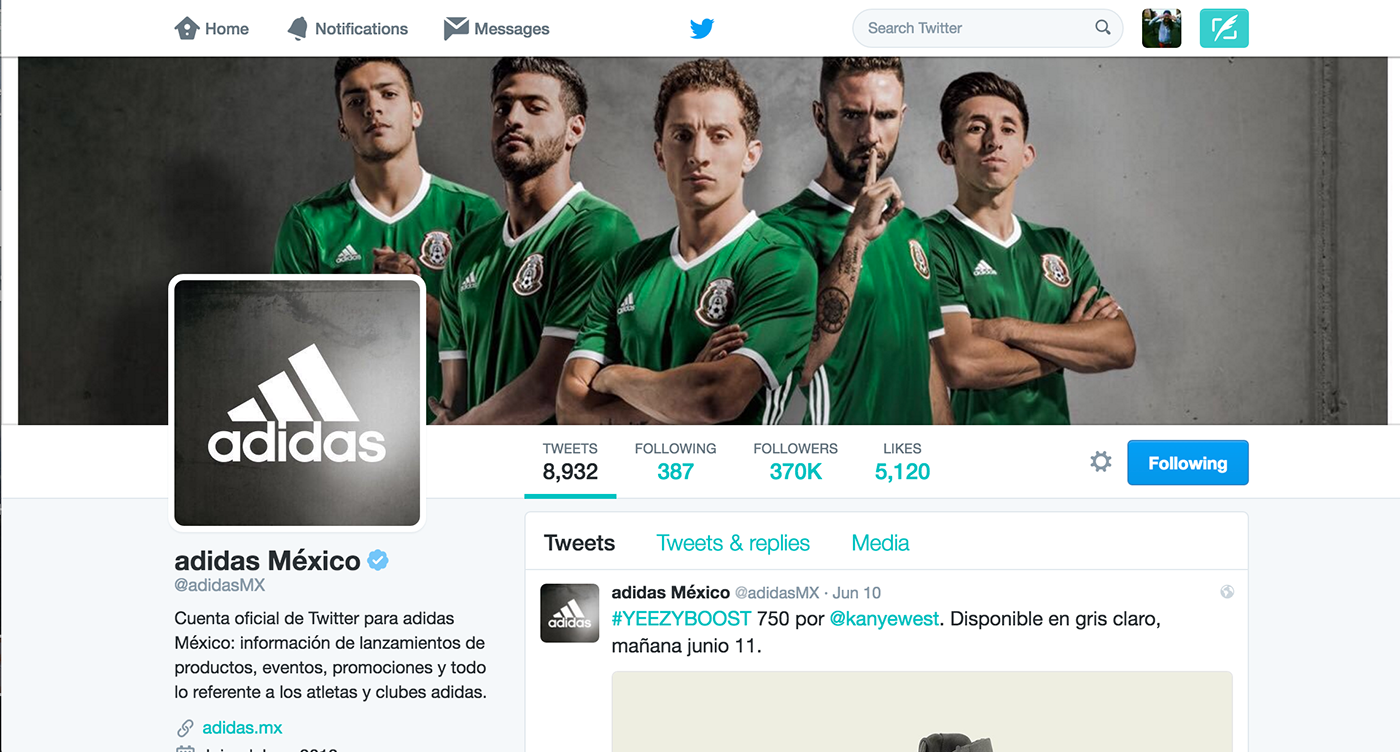 soccer Futbol adidas Nike seleccion mexicana jersey green ball mexico