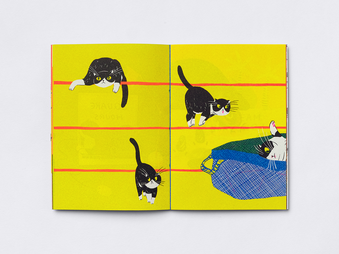 Zine  cat illustration Knust press risograph artist book silk screen