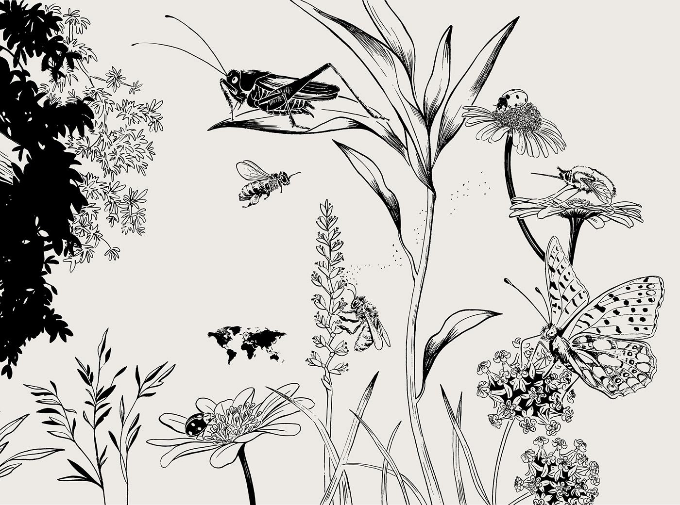 Vectorillustration insect Nature animals forest Flowers bee museu do amanha sensory odyssey wallillustration