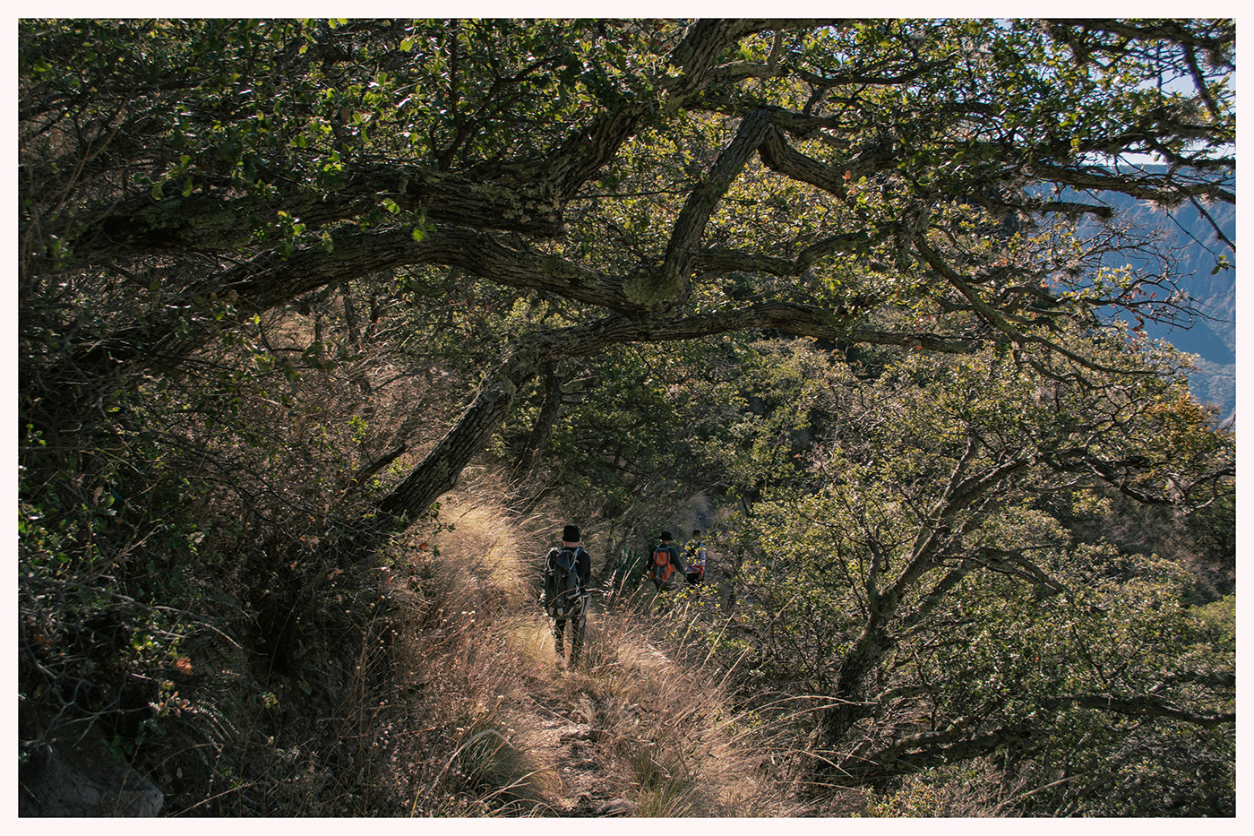 trailrunning Fotografia fotografo chihuahua chihuahua mexico cuu fotografiadocumental