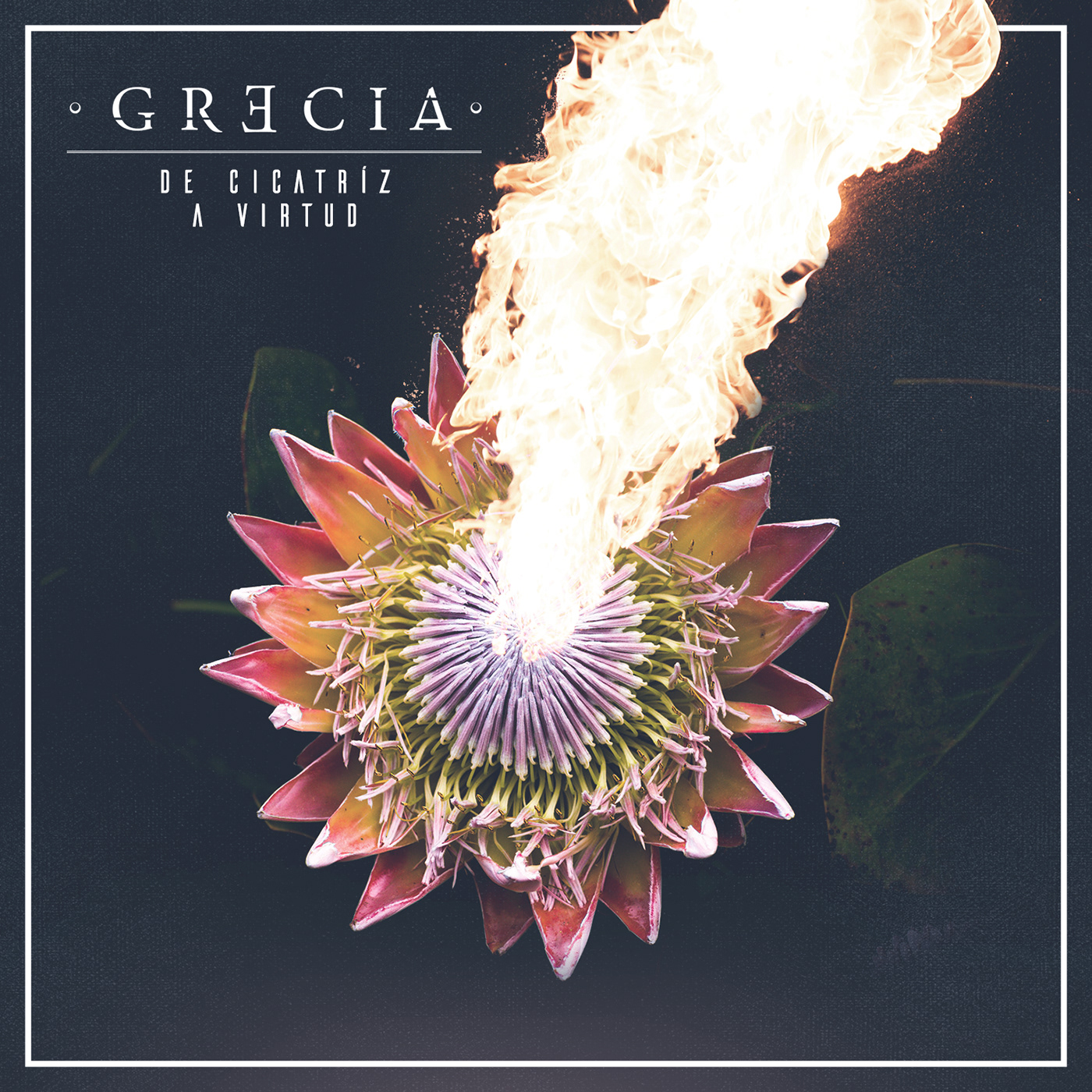 Grecia Merch flower fire flame smile butterfly hand tattoo Hardcore
