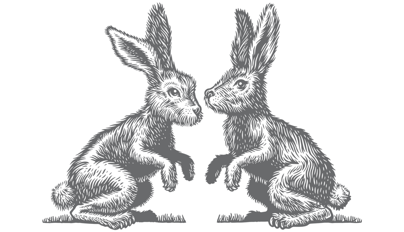 branding  coat of arms design engraving identitity ILLUSTRATION  logo rabbits