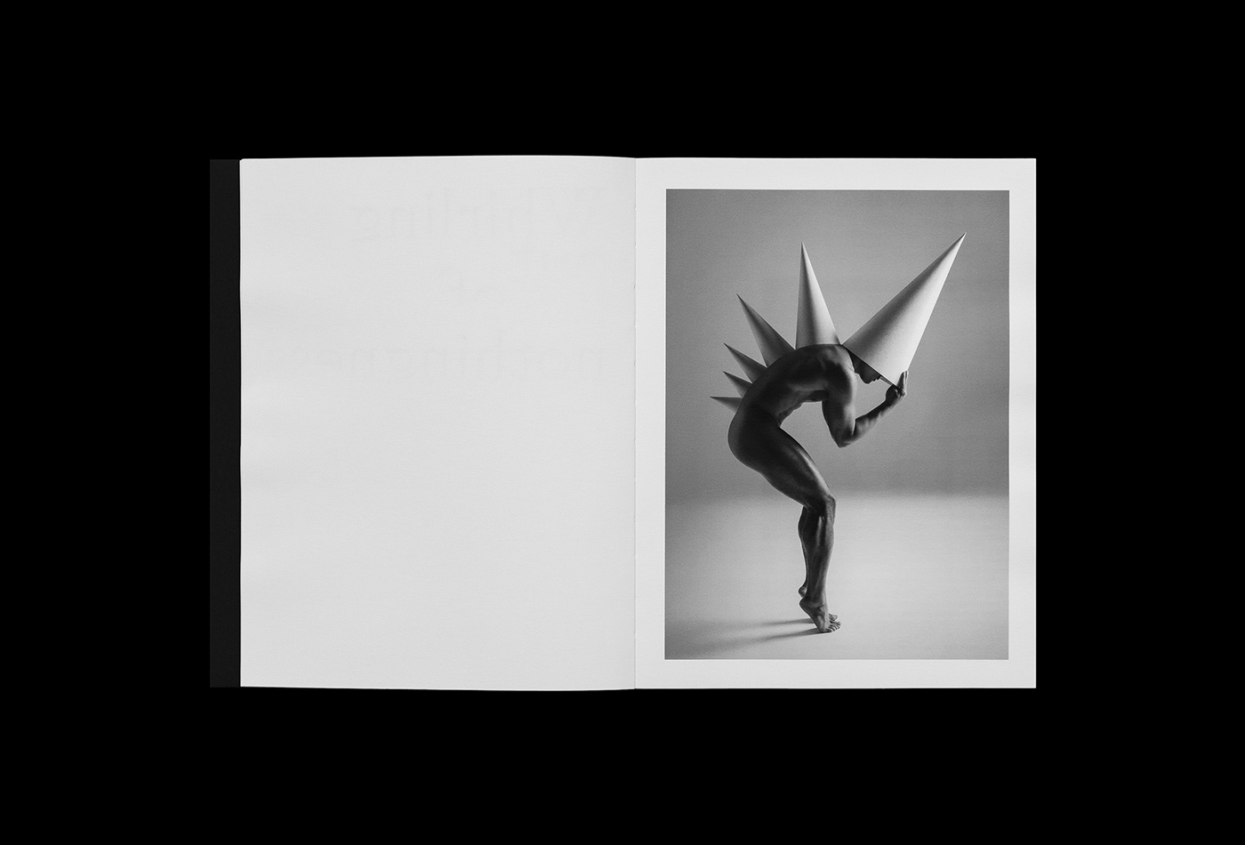book Photography  fine art paper sculptures
