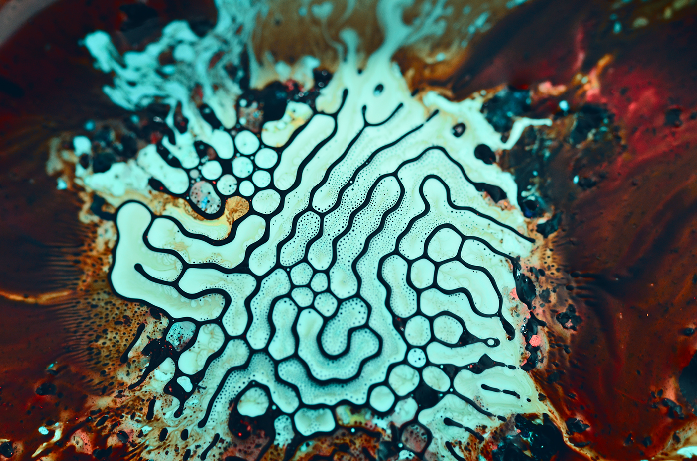 ferrofluid alchemy fine art Experimental Art photo Photography  animation  eric bellefeuille