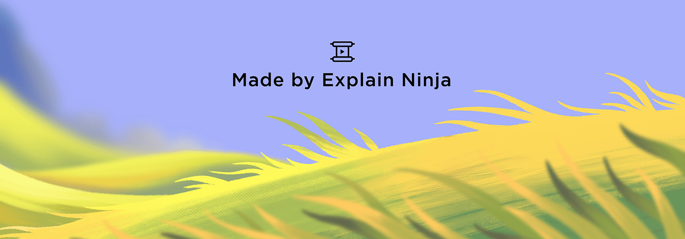 fireart studio motion design frame by frame character animation explainer video 2D Animation cartoon Explain ninja