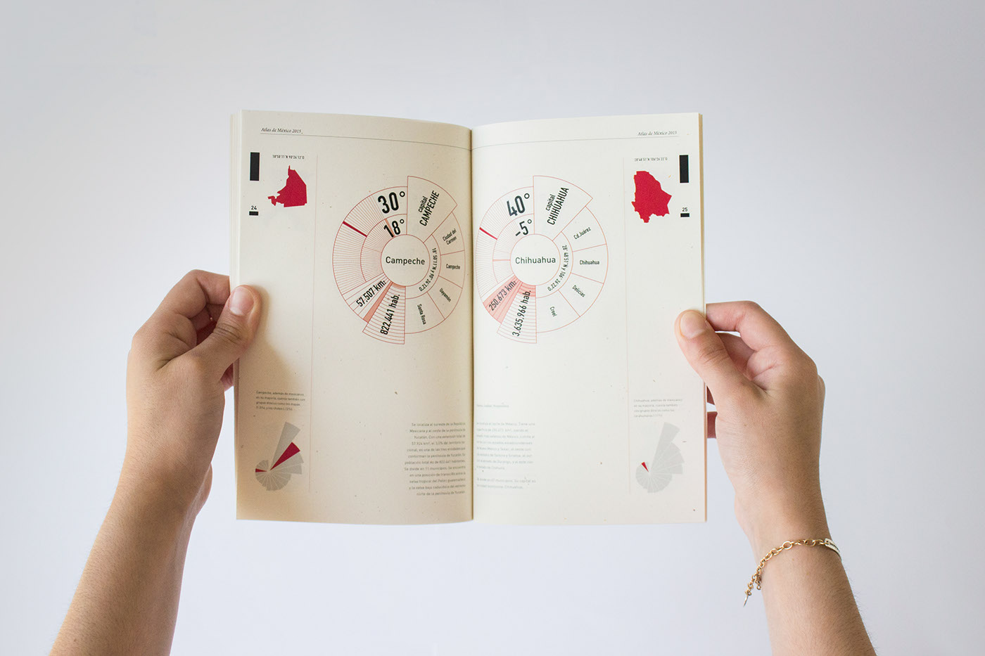 book design infographics typography   ILLUSTRATION  book atlas mexico infographic graphic design 