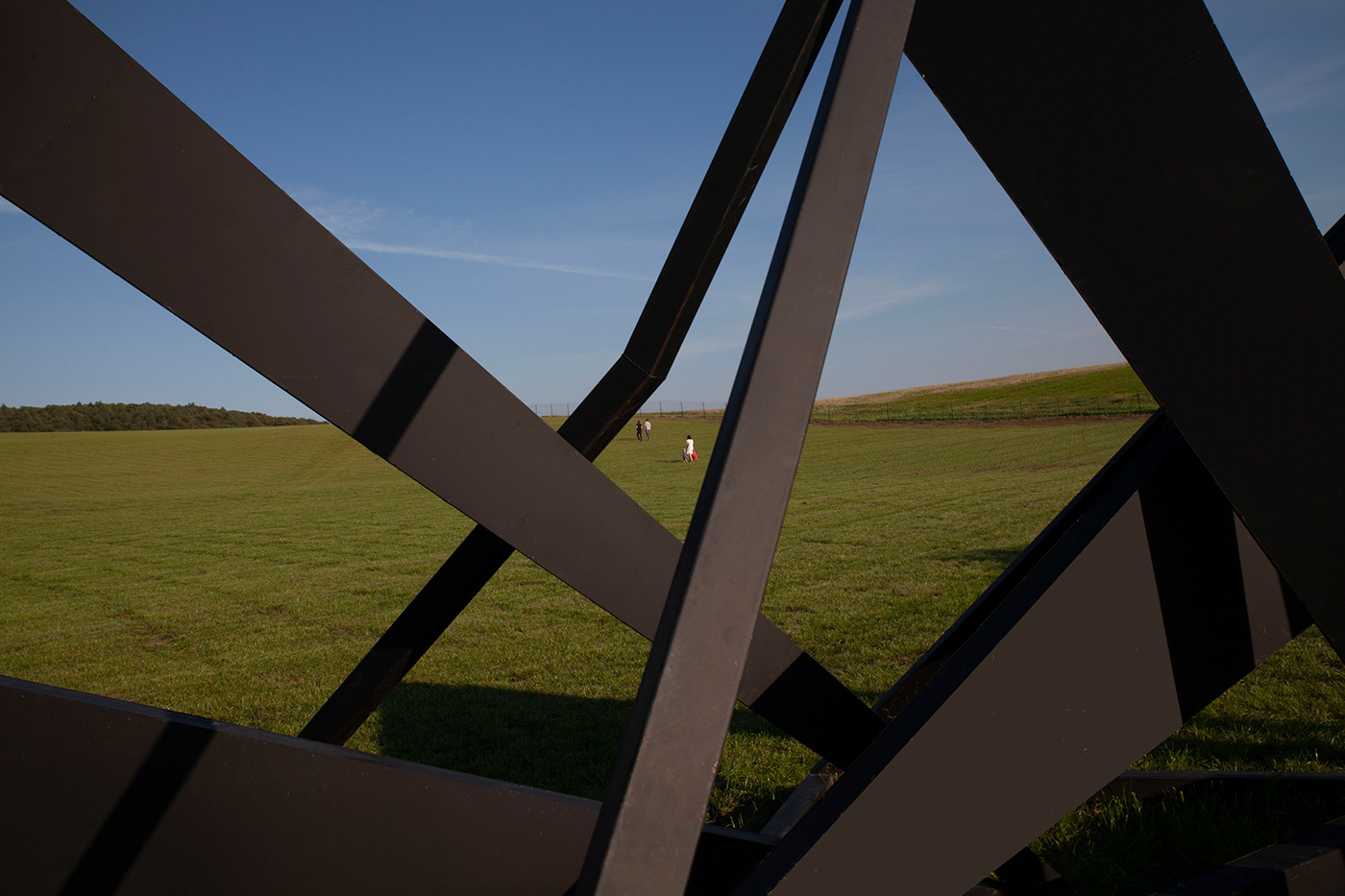 art contemporary metal Nature Outdoor public sculpture Street installation outside